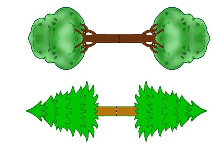 Развертки деревьев для макета