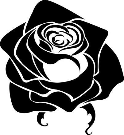 Роза рисунок