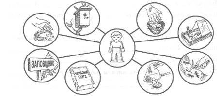 Раскраска охрана природы для детей
