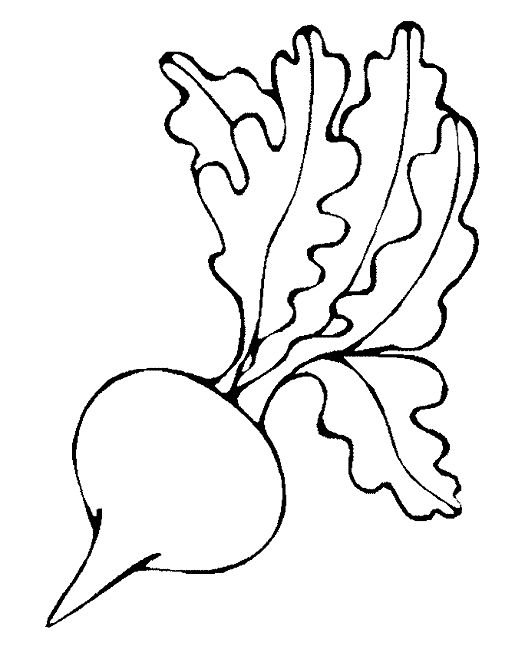 Редис раскраска