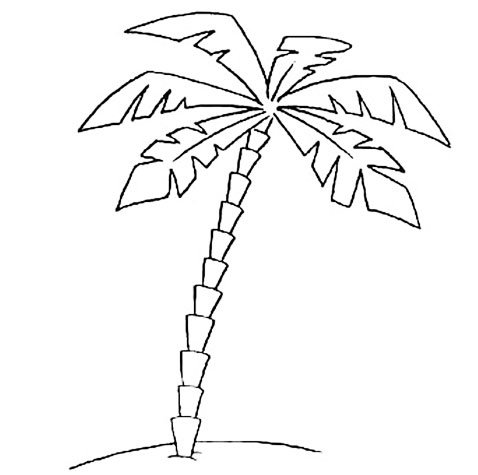 Пальма раскраска для детей