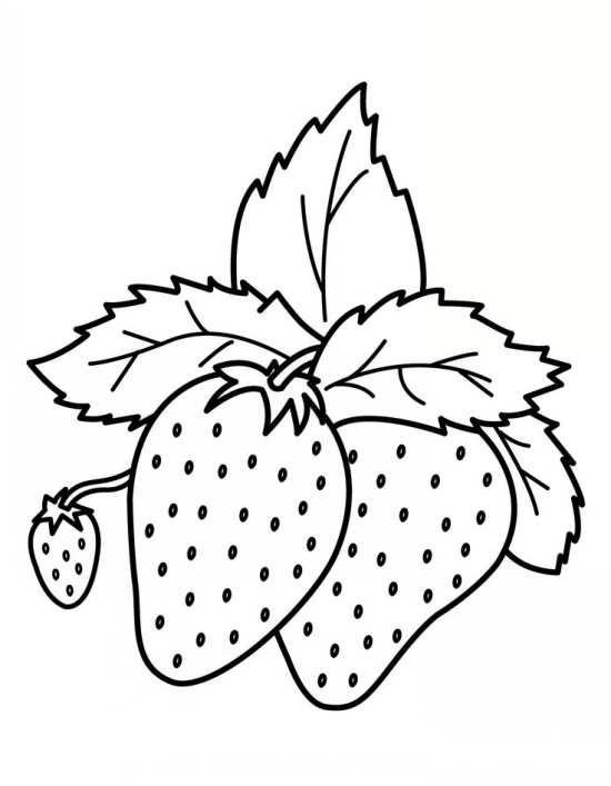 Земляника раскраска для детей