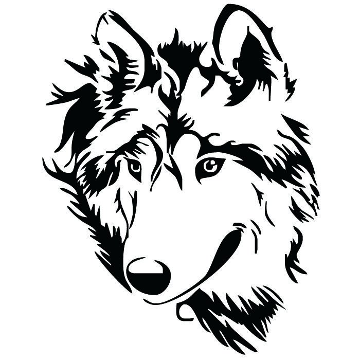 Голова волка рисунок