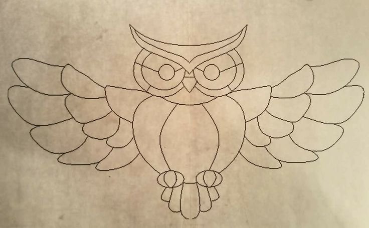 Сова шаблон