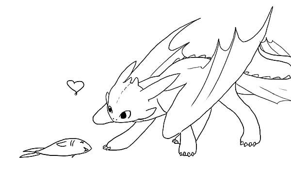 Лайн дракона ночной фурии малыш