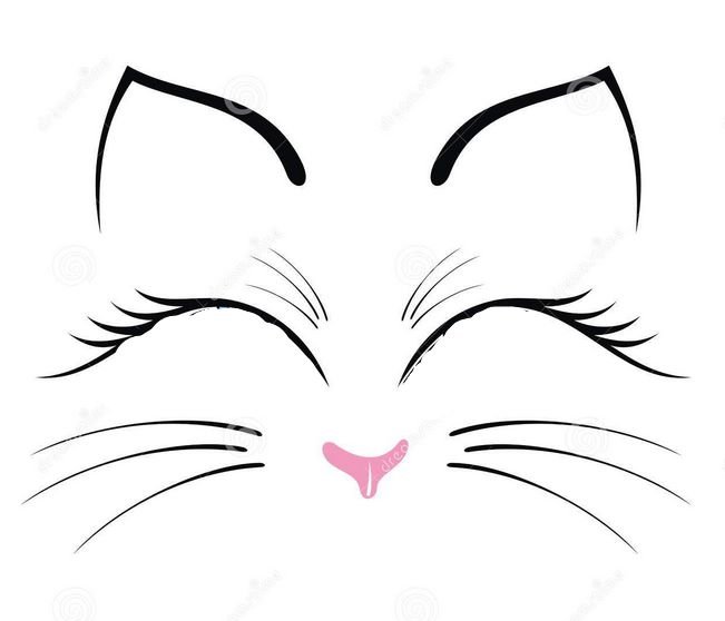 Мордочка киски