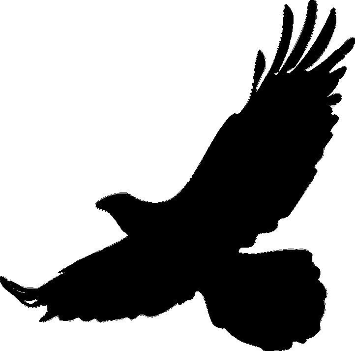 Трафарет орла