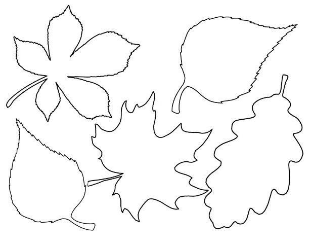Листики осенние шаблоны для вырезания