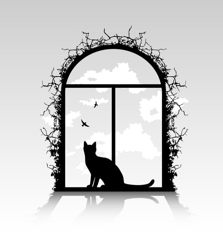 Силуэт кошки на окошке