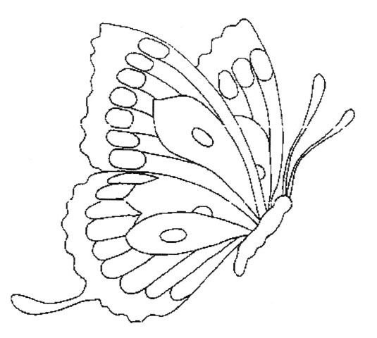 Трафарет бабочки для вышивки