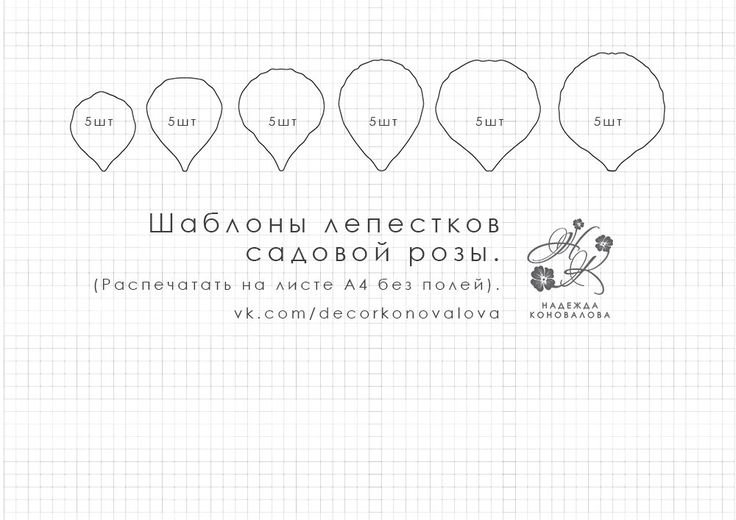 Выкройка лепестков розы