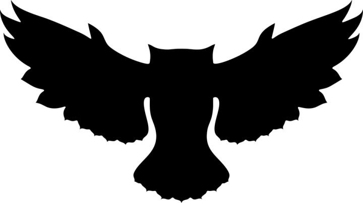 Крылья силуэт