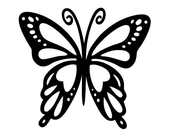Трафареты бабочек для декора