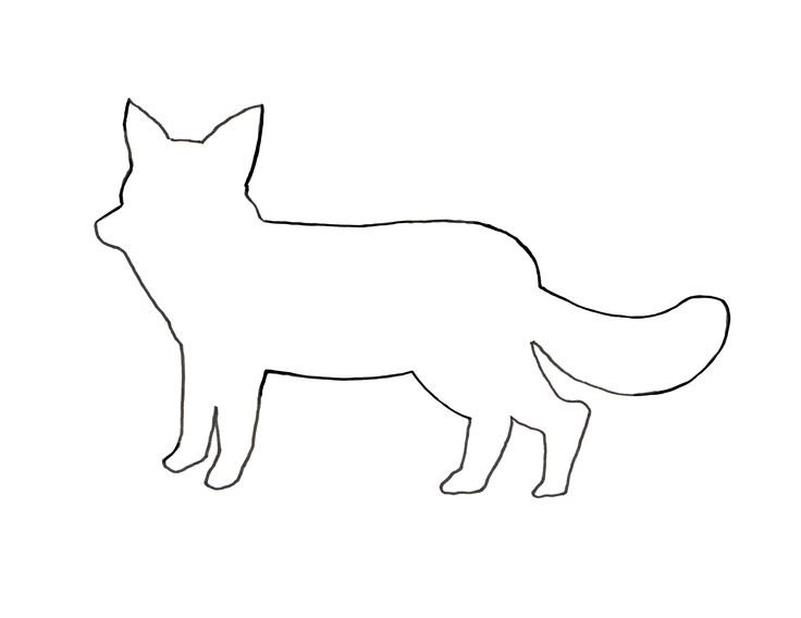 Контуры животных для детей