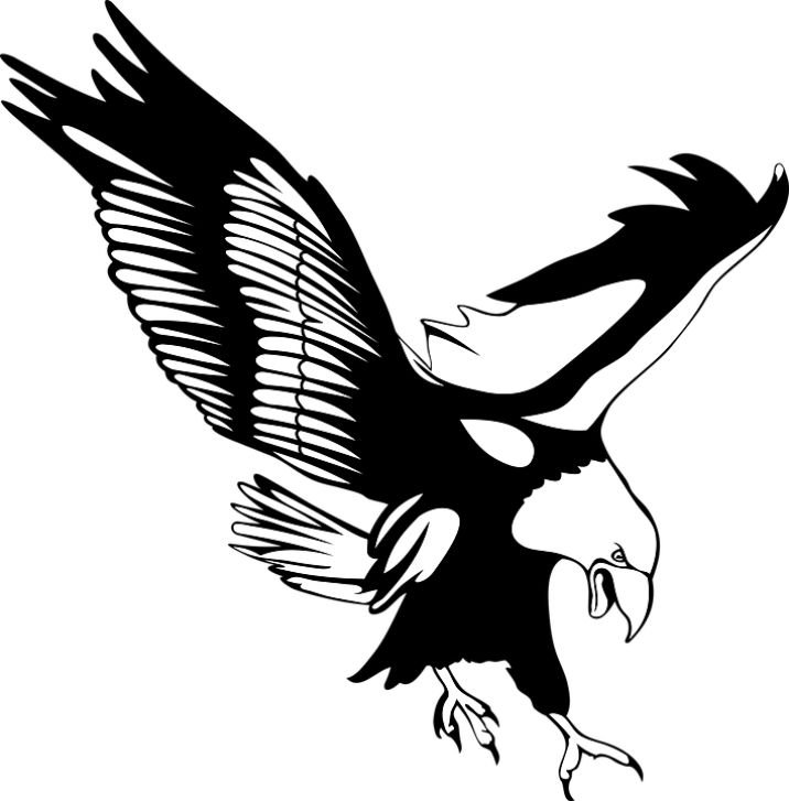 Векторная Графика птицы