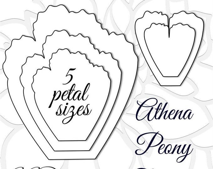 Трафареты больших цветов