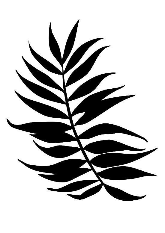 Экзотические листья