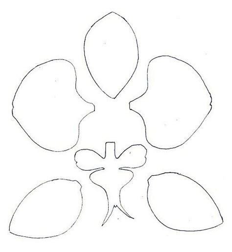 Трафарет орхидеи