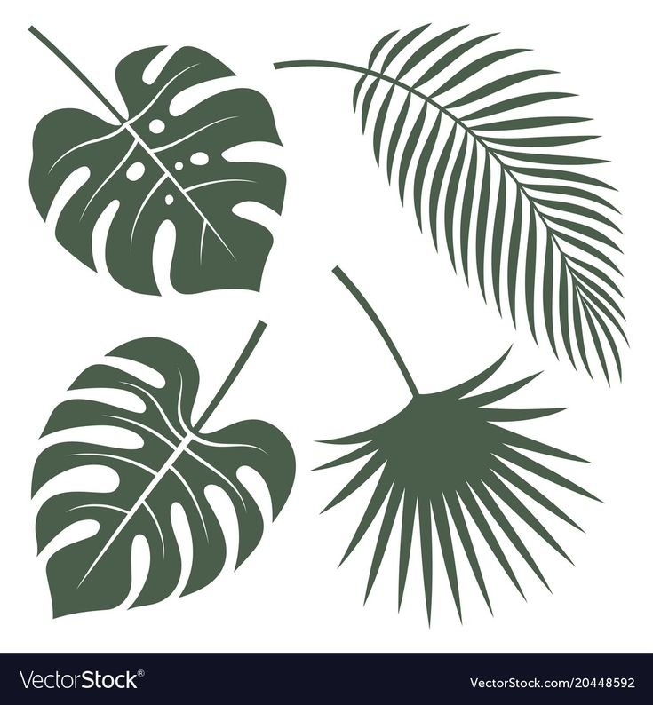 Тропические листья