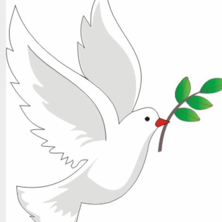 Голубь с веточкой в клюве символ мира