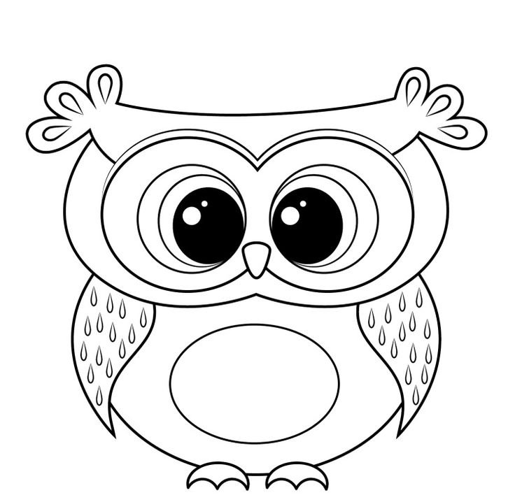 Раскраска Сова
