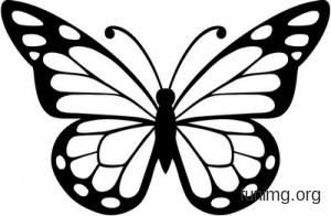 Трафарет бабочки для торта