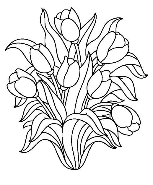 Букет тюльпанов раскраска