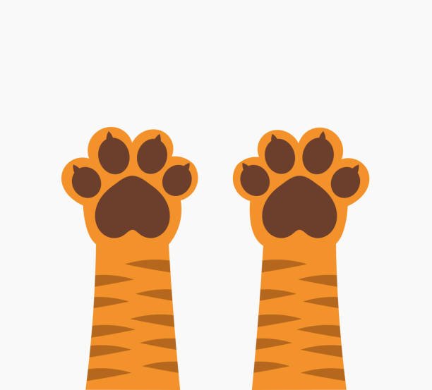 Лапки тигра для поделок