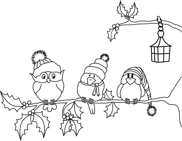 Птица на ветке раскраска