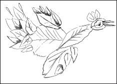 Раскраска для аппликации из листьев