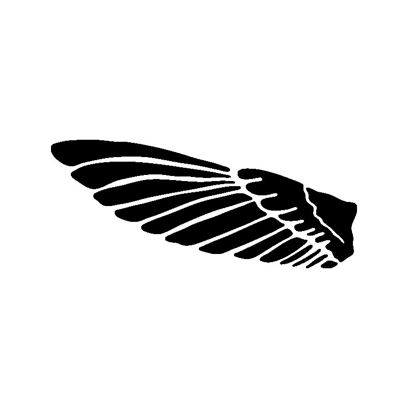 Термонаклейка Крылья