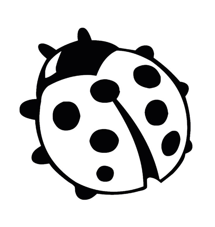 Божья коровка картинка для детей раскраска