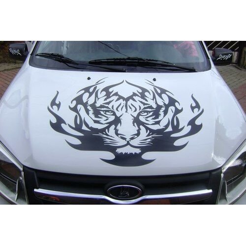 Наклейки на капот