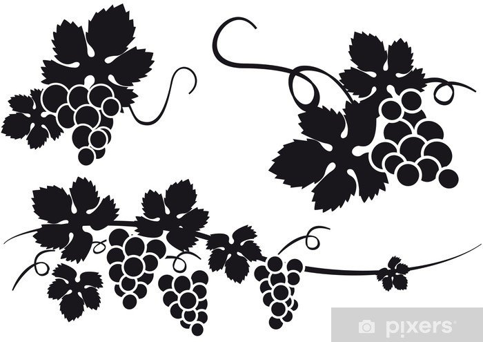 Виноград орнамент