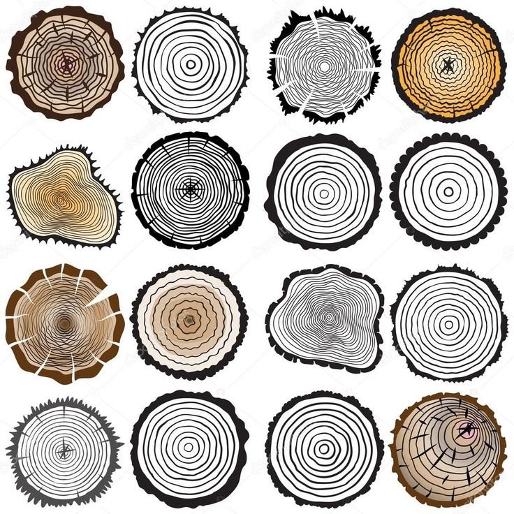 Спил дерева узор