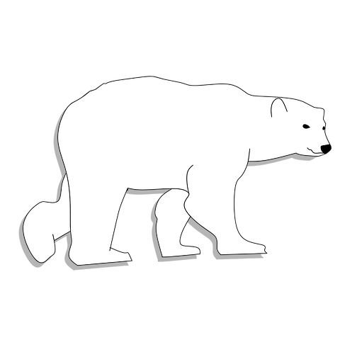 Белый медведь контур