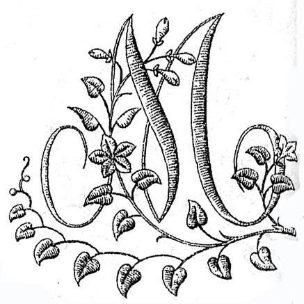 Буквица растительный орнамент