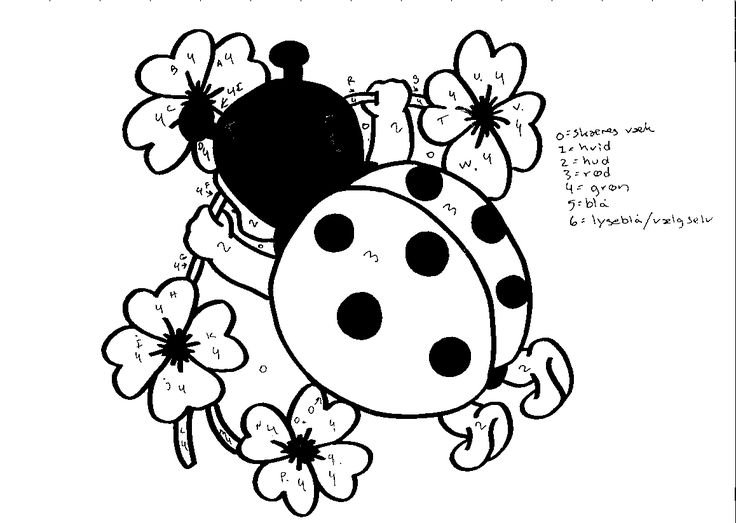 Божья коровка на цветке раскраска