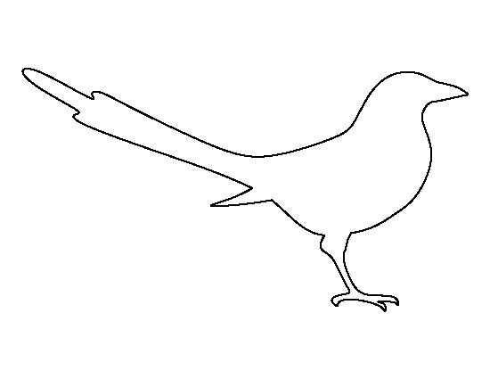 Птица контур