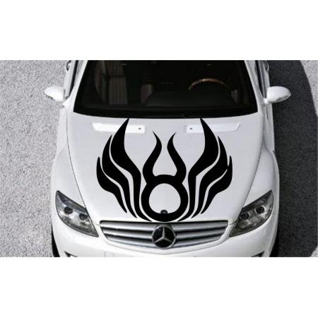 Наклейка на весь капот автомобиля