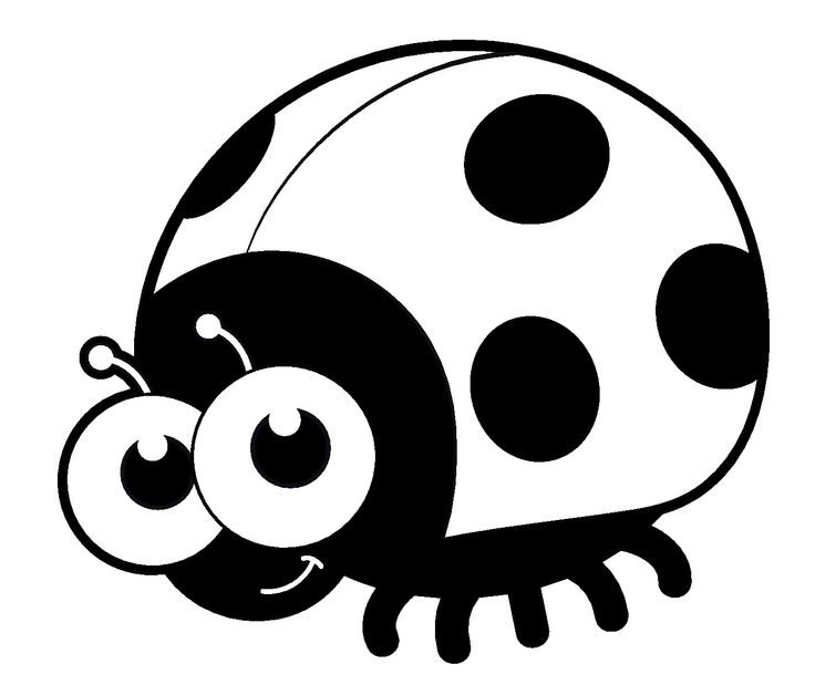 Божья коровка картинка для детей раскраска