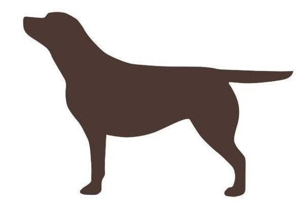 Силуэт ретривера