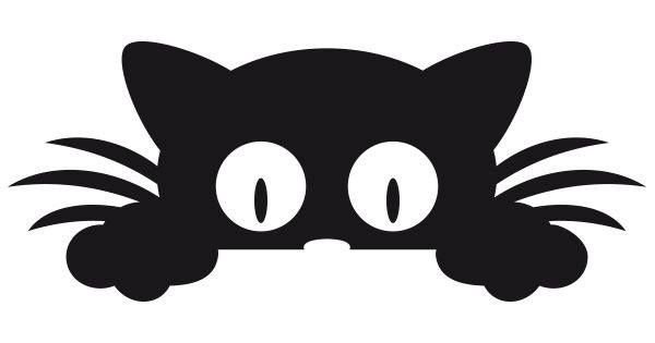 Кот выглядывает