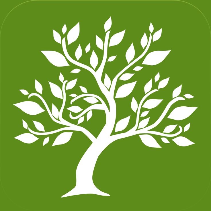 Орнамент дерево