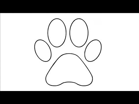 След лапы собаки