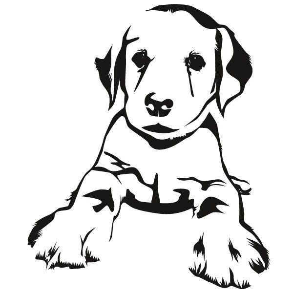 Собака рисунок черно белый