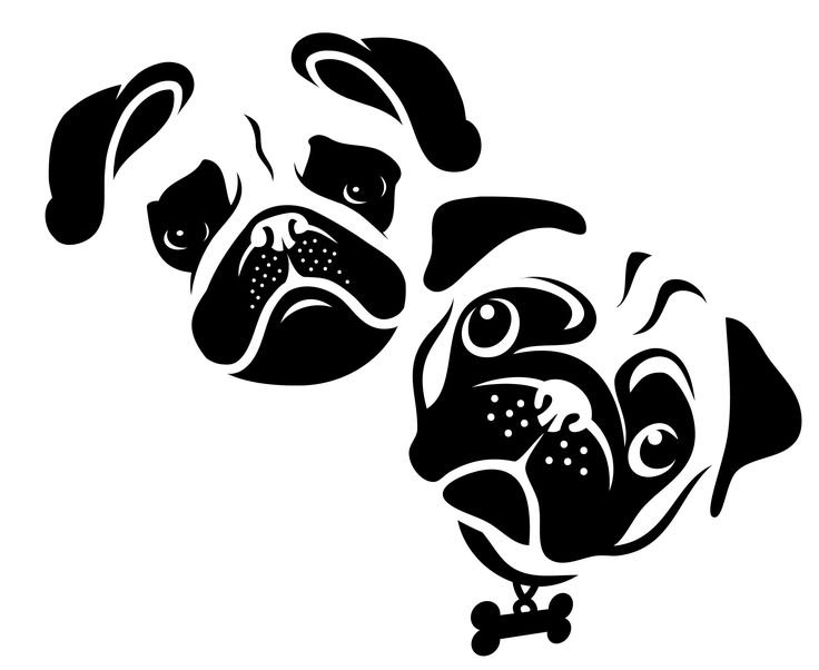 Мопс векторный