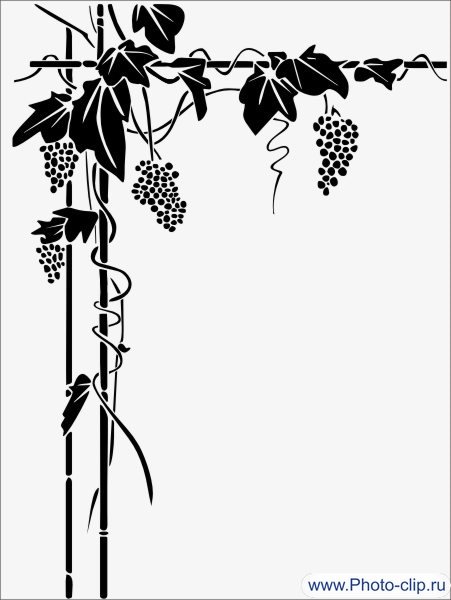 Трафарет для стен виноград