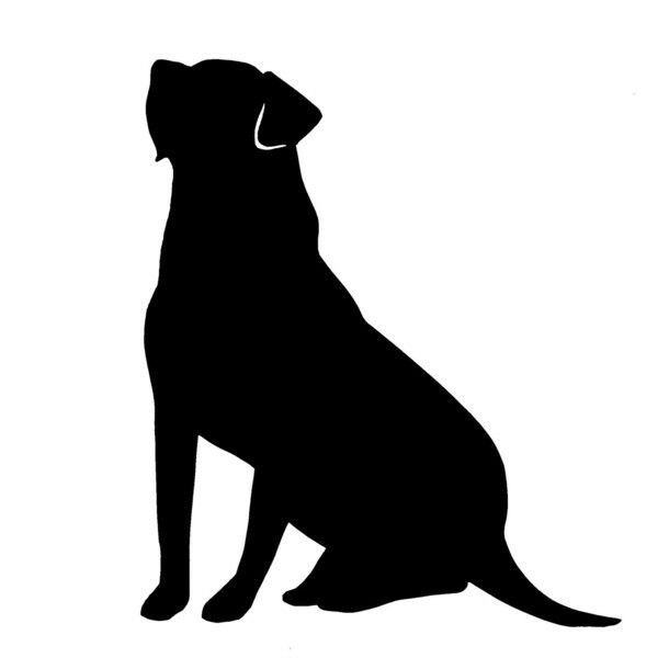 Лабрадор ретривер силуэт