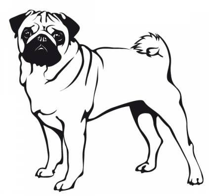 Картинка МОПСА раскраска